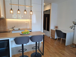 Marina City key Luxury Studio